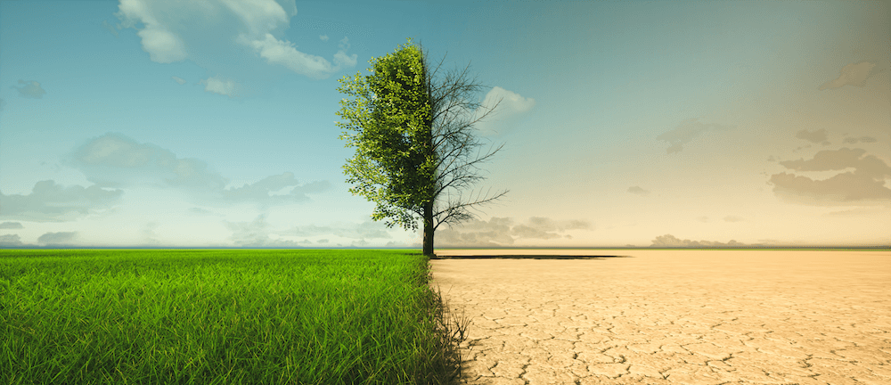 The EcoIMPACT Project launch to help combat Climate Change