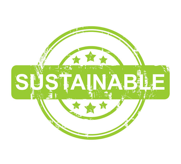 What is a Sustainable Business?